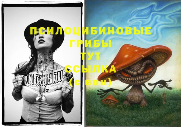 не бодяженный Богородицк